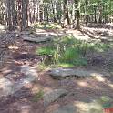 Sandstein gibt es auch in gro�