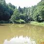 Horbacher Teich