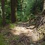 Hier sollte man wohl einen anderen Weg w�hlen.