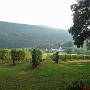 Abendstimmung am D�rsthof