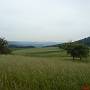 Am Horizont ist der Pfaffenberg zu erkennen