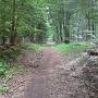 Single Trail