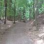 Der Downhill Richtung D�rrmorsbach