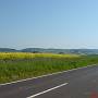 Blick Richtung Huckelheim und Birkenhainer