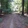 Sch�ner Single Trail im Spessart