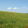 Oberhalb Fl�rsbach