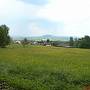 Ro�bach